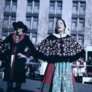 Traditional folk dancers in colorful regional costumes performing outdoors.