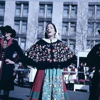 Traditional folk dancers in colorful regional costumes performing outdoors.
