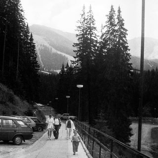 Family walking along mountain roadside pathway.