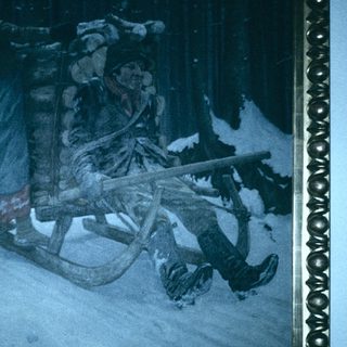 Winter scene of sledding through snowy forest.