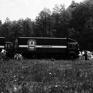 Vintage train cars parked in rural field.
