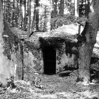 Abandoned stone shelter in forested clearing.