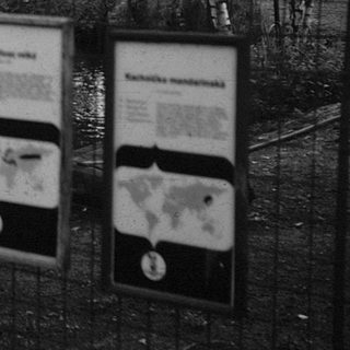 Informational display boards in outdoor zoo exhibit.