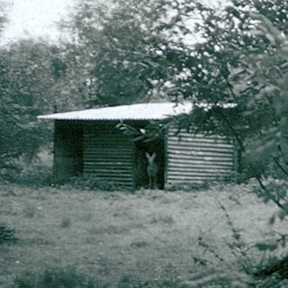 Rural cabin surrounded by dense forest.