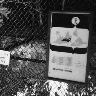 Zoo exhibit signs for dolphins and birds.
