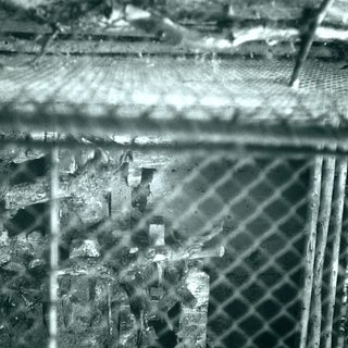 Rusty metal fence with blurred cityscape view.