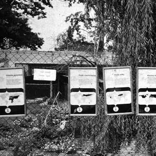 Posters depicting banned weapons and their penalties.