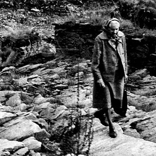 People exploring ancient stone ruins in forested area.
