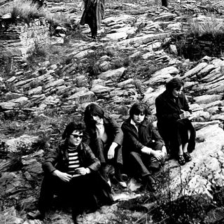People exploring ancient stone ruins in forested area.