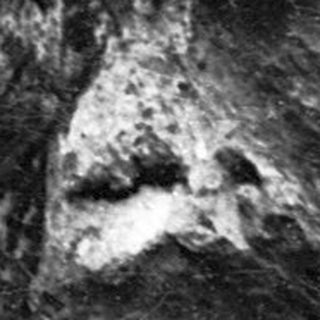Close-up of rough, textured rock surface.