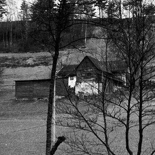 Rural countryside house with bare trees.
