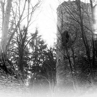 Ancient stone tower surrounded by bare trees.