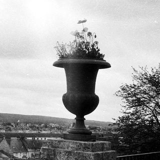 Vintage view of town with bridge and flower vase.