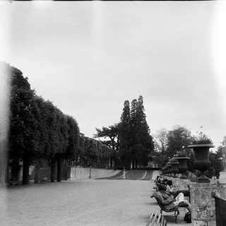 Peaceful park scene with benches, trees, and fountain.