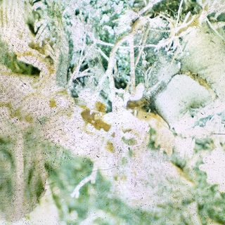 Blurred close-up of textured, aged fabric or paper.