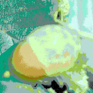 Artistic depiction of a coconut being squeezed.