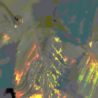 Colorful, abstract satellite view of foliage.