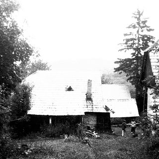 Rural farmhouse with barn and forest.