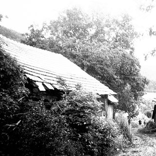 Rural village huts with thatched roofs.