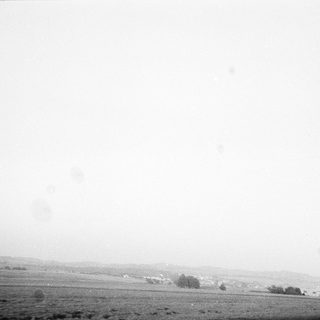 Open landscape with distant trees and hazy horizon.