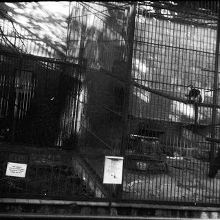 Caged animal enclosure with informational signs.