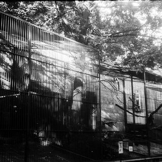 Large indoor bird aviary with metal cages.