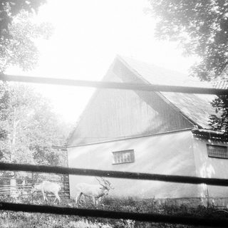 Sunlit farmhouse behind rustic wooden fence.