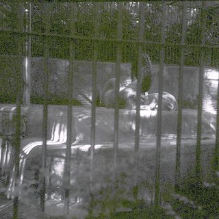 Reflection of horse and rider in wet pavement.