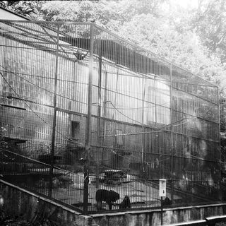 Large multi-level animal enclosure with cages.