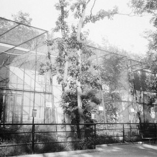 Modern glass building surrounded by trees.