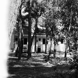 Vintage black-and-white photo of a rustic building surrounded by trees.
