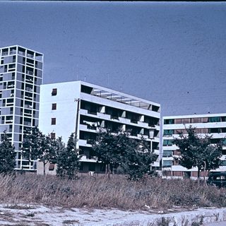 Modernist apartment buildings by coastal area.