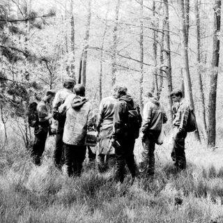 Group hiking through a misty forest.