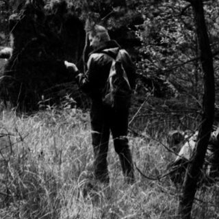 People hiking through a wooded forest trail.