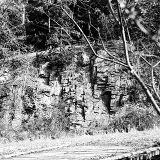 Rocky cliff face with ancient carvings in forested area.