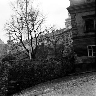 Historic European town with medieval castle ruins.