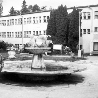 Man in 1960s-era flight suit posing near fountain.