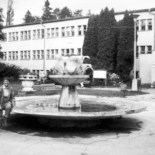 Man in 1960s-era flight suit posing near fountain.