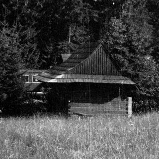 Rustic cabin nestled in forested grassy clearing.