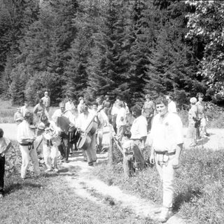 Group hiking outdoors in forested area.