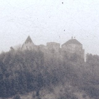 Castle perched atop a forested hill.