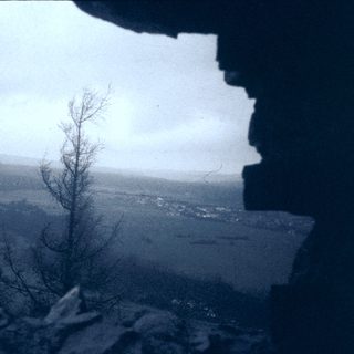 Winter landscape with bare tree near icy cliff edge.