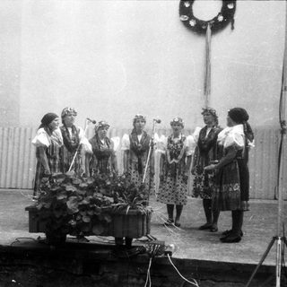Traditional folk dancers performing with floral crowns.