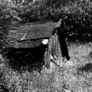 Rustic wooden shed surrounded by overgrown vegetation.