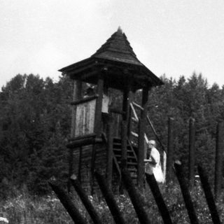 Abandoned wooden watchtower and barbed wire fence in forested area.