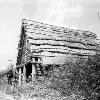 Rustic thatched hut in rural setting.