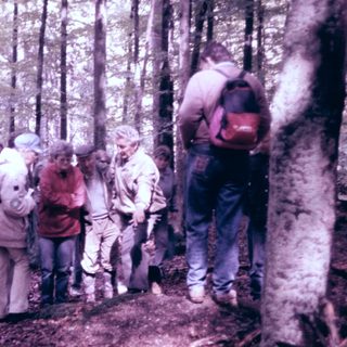 Group hiking in forested area with backpacks.