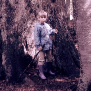 Child hugging large tree in forest.