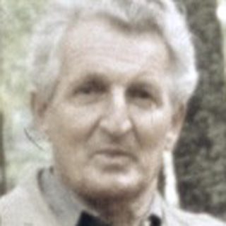 Old man standing in a forest.