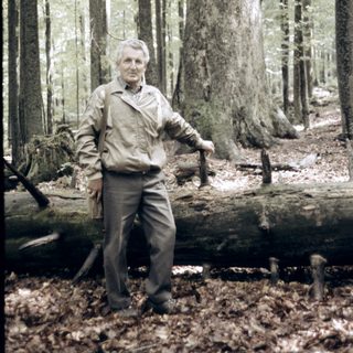 Old man standing in a forest.
